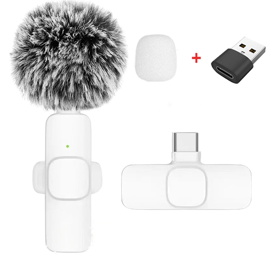 New Wireless Lavalier Microphone Portable Audio Video Recording Mini Microphone for iPhone Android PC Camera Live Gaming Phone